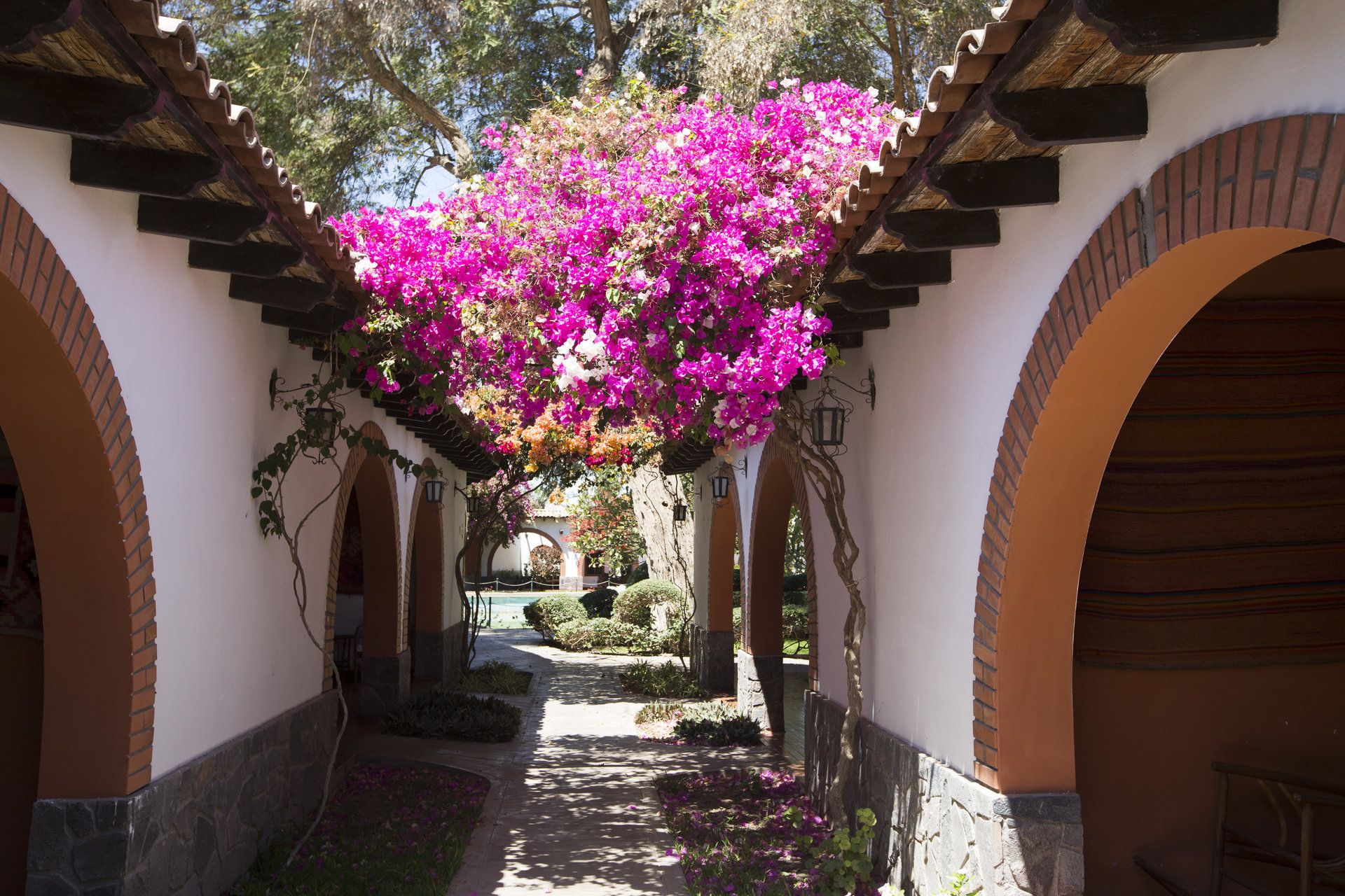 Hotel Majoro